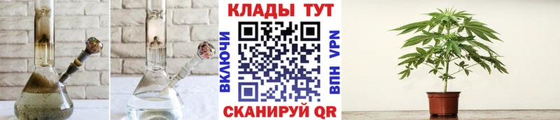  COCAIN Павловск