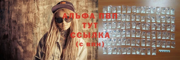 тгк Беломорск